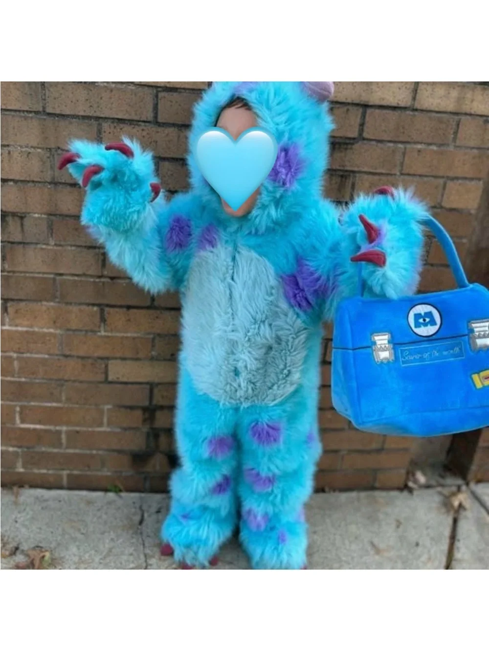 Disney Monsters Inc Sulley Sully Costume Size 2-4 Toddler Halloween